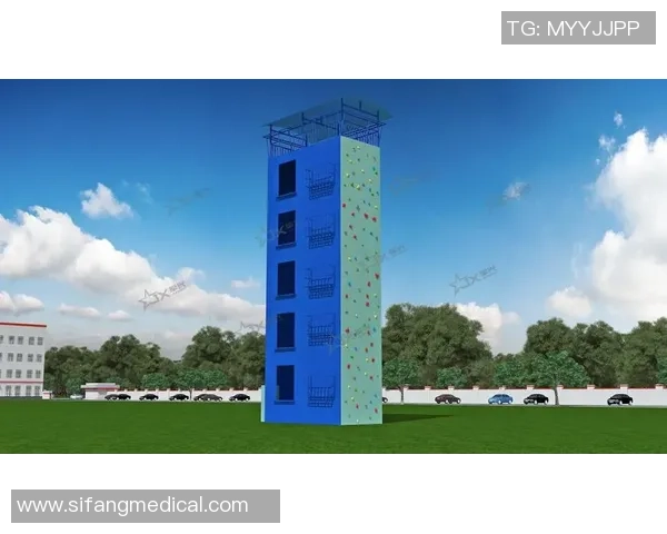 重庆攀岩队的战术分析与训练模式探讨攀岩运动的未来发展潜力